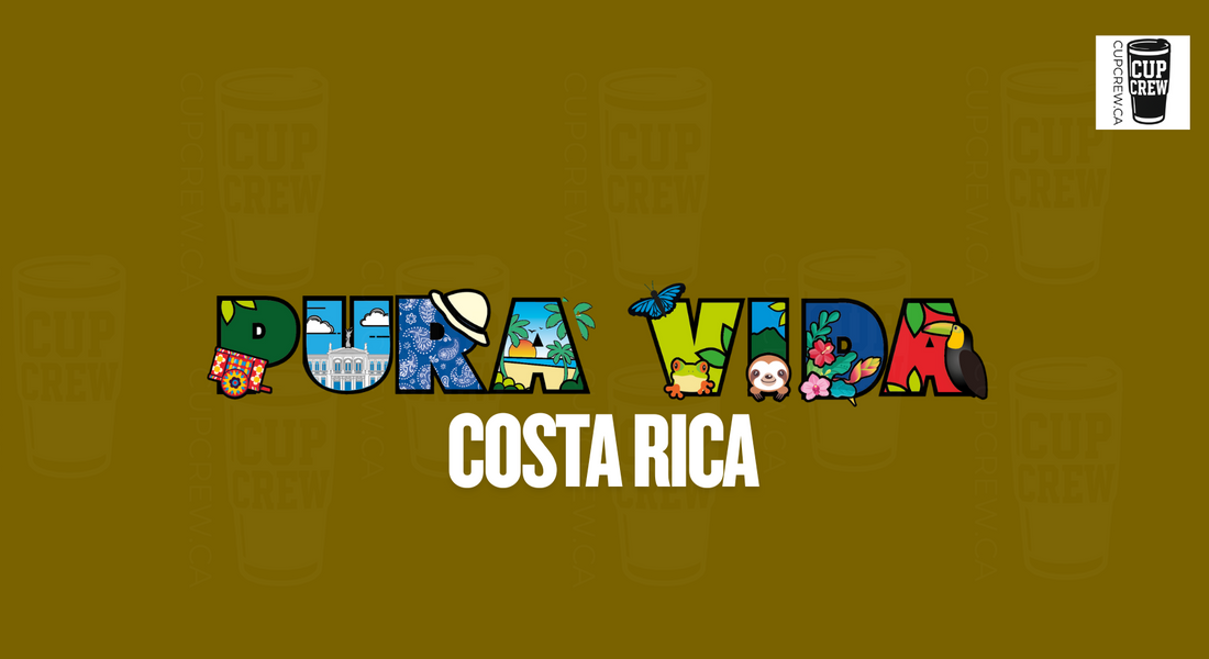 The image is a collage of various colorful illustrations representing different aspects of Costa Rica, including a cup, a bird, a flower, and a palm tree, arranged to spell out the word "Pura Vida" (which means "life" in Spanish).