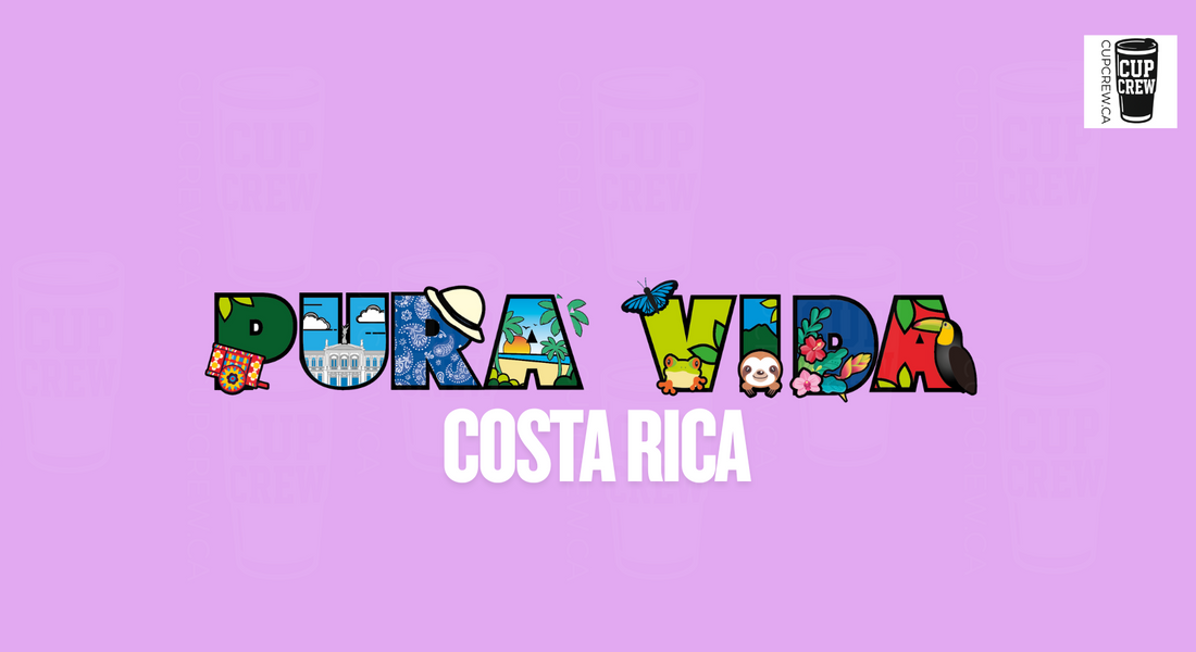 The image is a collage of various colorful illustrations representing different aspects of Costa Rica, arranged to spell out the word "PURA VIDA" in a visually appealing manner.