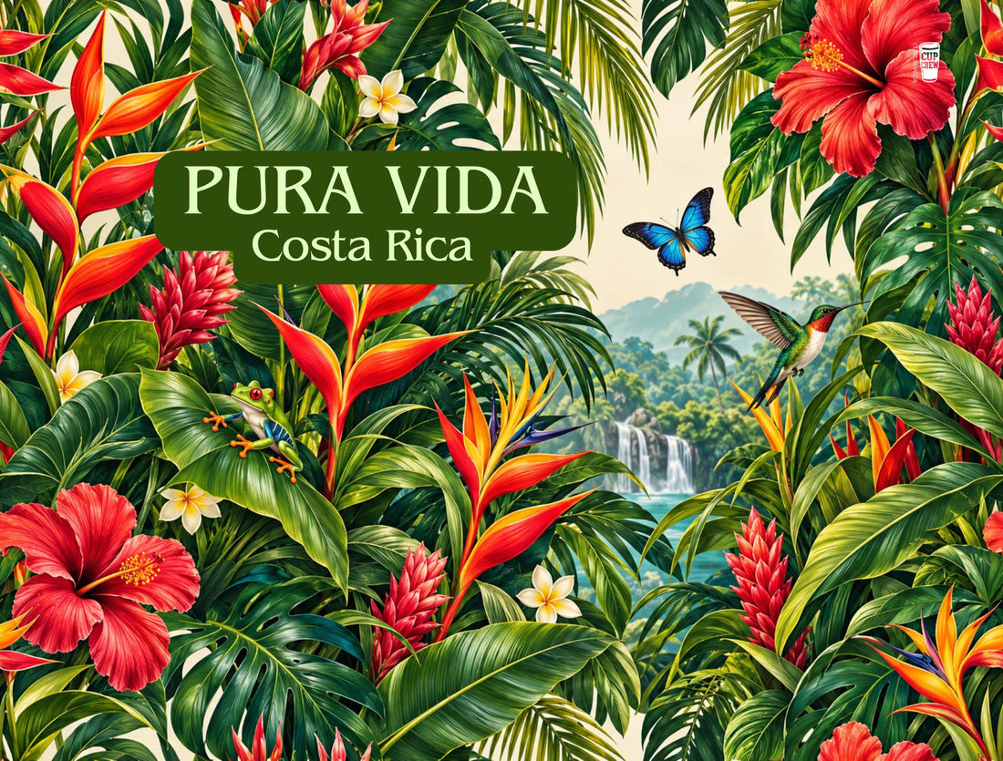 The image is a vibrant and lush tropical scene featuring a variety of colorful flowers, leaves, and tropical birds.