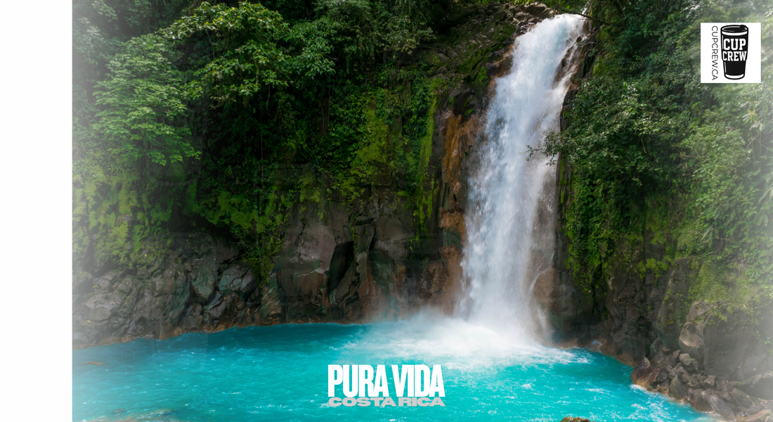 a stunning waterfall cascading into a turquoise pool, surrounded by lush green foliage.